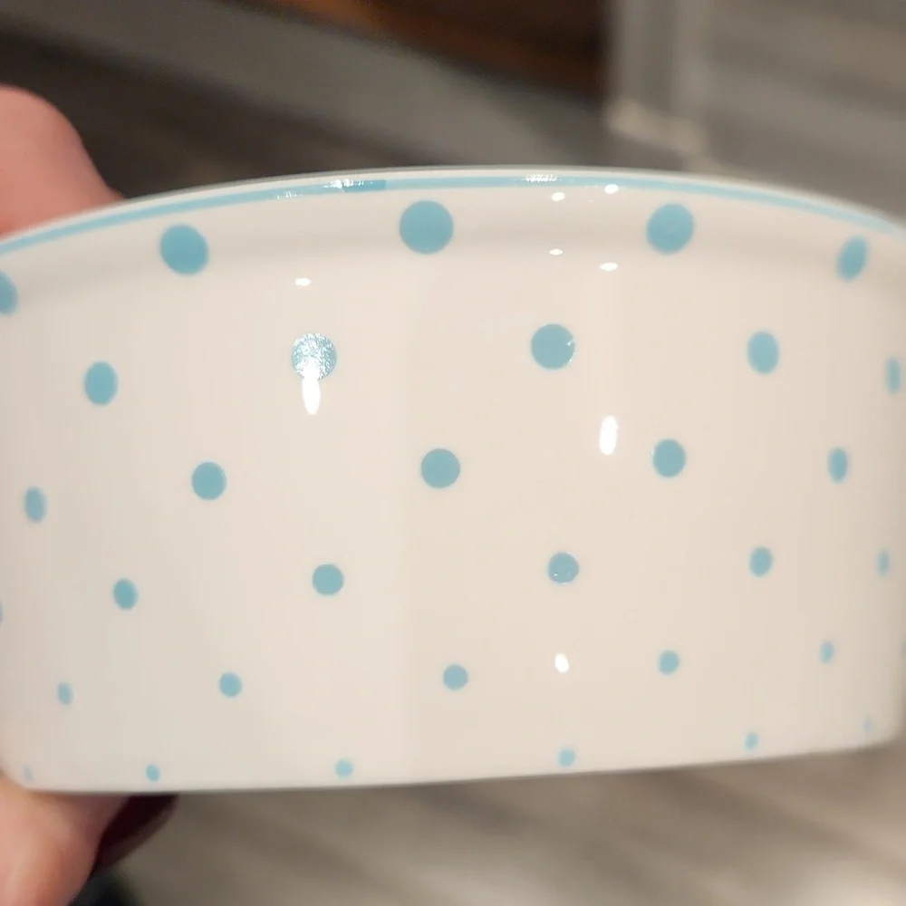 EUC Fido's Diner By Coastline Imports Dog Dish w/Blue Polka Dots 2 1/16